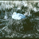 Illustration for article titled These incredibly vivid color photos of Antarctica were taken in 1915